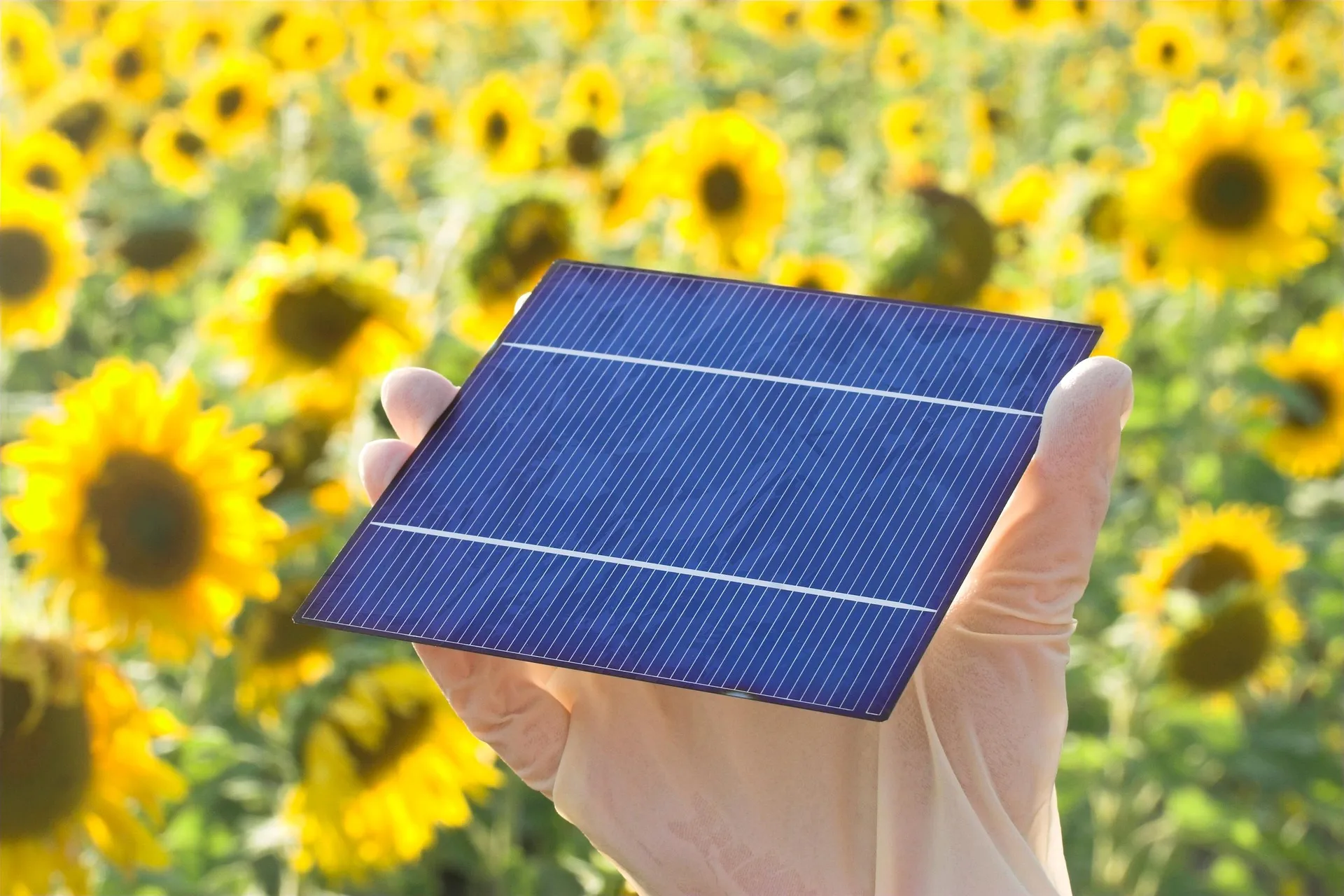 Ilustrační fotografie k článku Recyklace fotovoltaických panelů: Co nás čeká za 10 let?